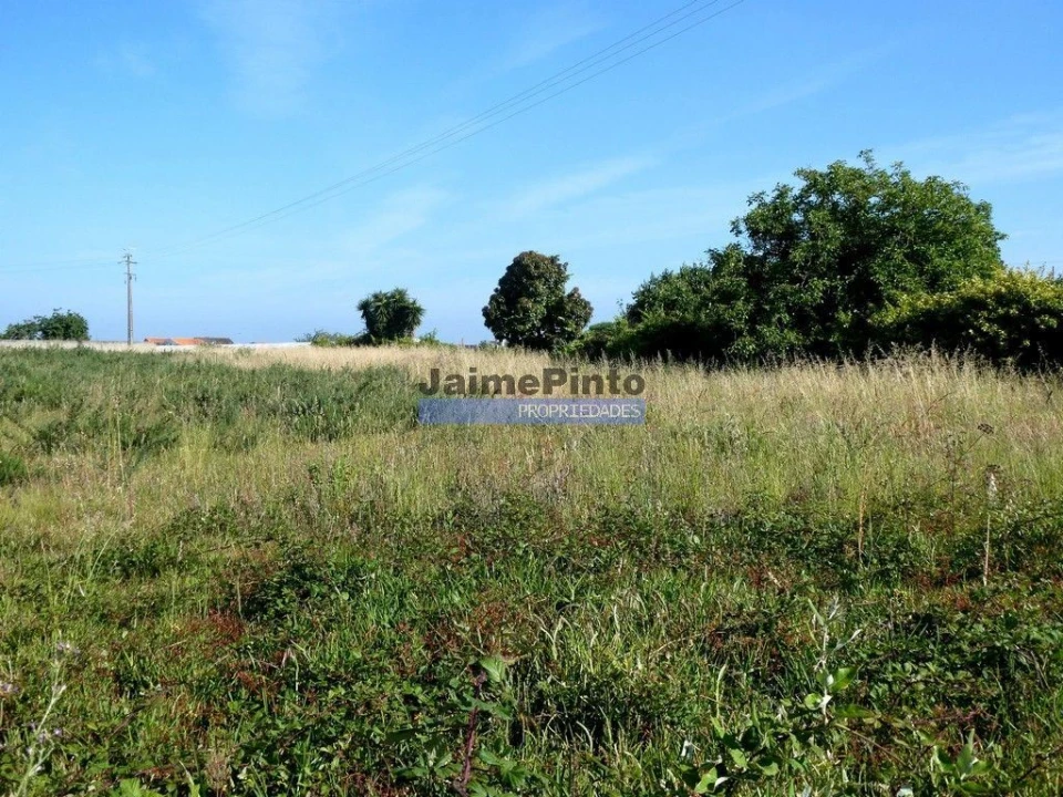 Terreno P/ Prédio para Venda em Cacia Foto 1