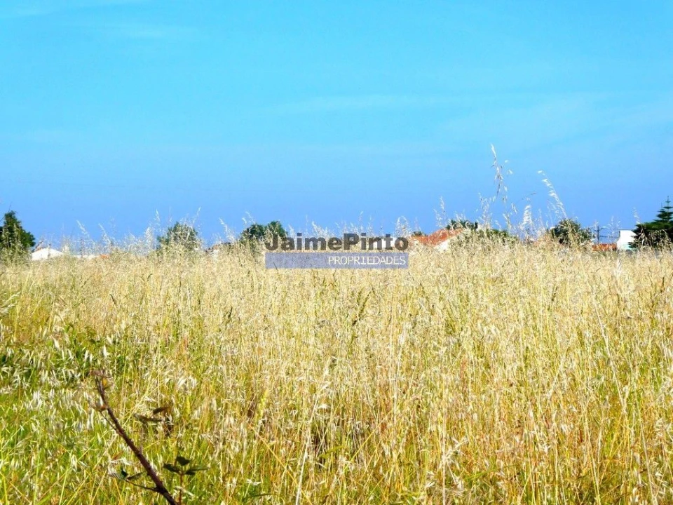 Terreno P/ Prédio para Venda em Cacia Foto 2