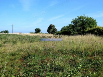 Terreno P/ Prédio para Venda em Cacia