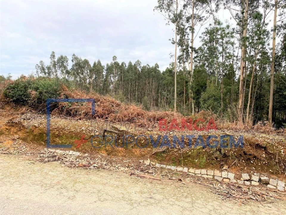 Terreno Misto para Venda em Sandim, Olival, Lever e Crestuma Foto 6