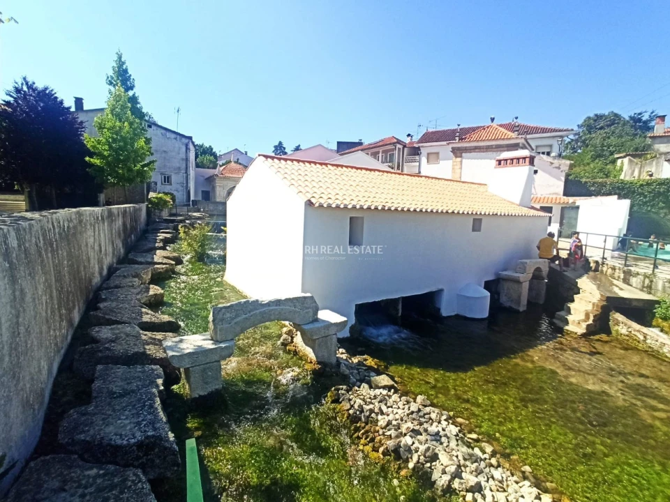 Terreno P/ Prédio para Venda em Ançã Foto 5