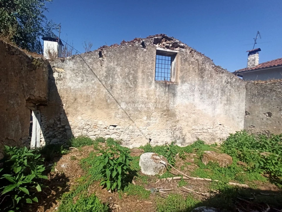 Terreno P/ Prédio para Venda em Ançã Foto 11