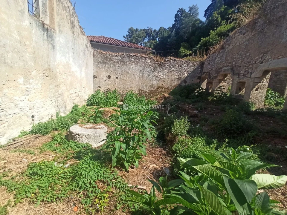 Terreno P/ Prédio para Venda em Ançã Foto 13