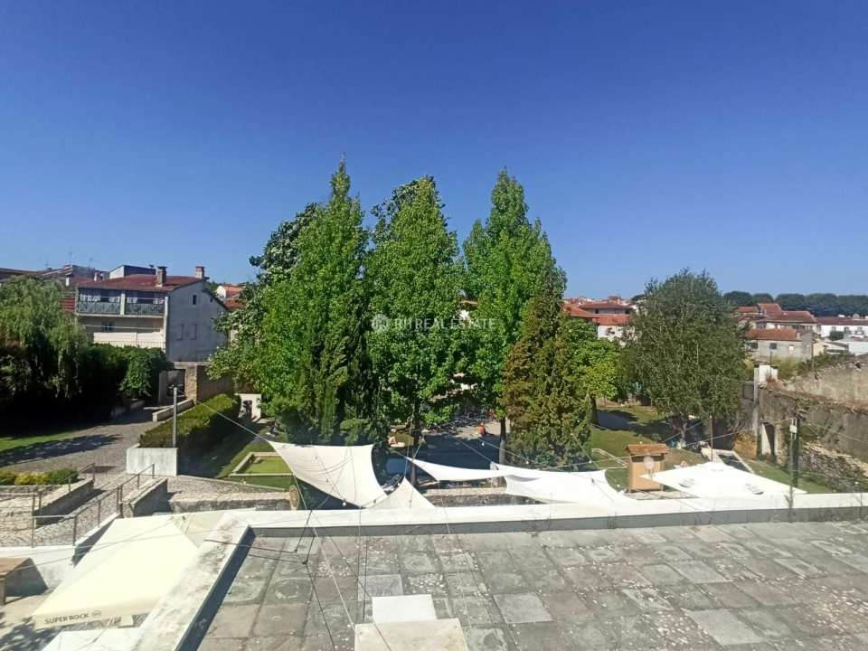 Terreno P/ Prédio para Venda em Ançã Foto 15
