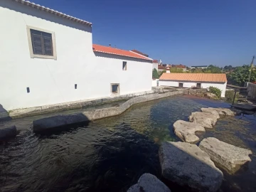 Terreno P/ Prédio para Venda em Ançã
