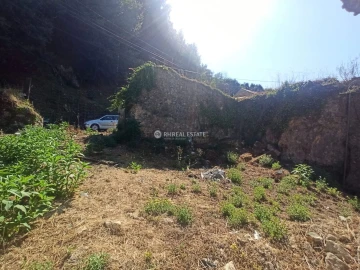 Terreno P/ Prédio para Venda em Ançã