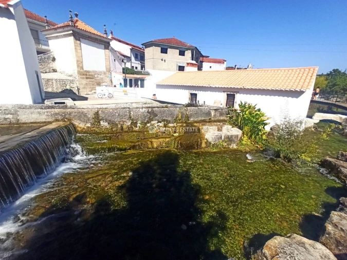 Terreno P/ Prédio para Venda em Ançã Foto 2