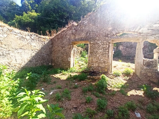 Terreno P/ Prédio para Venda em Ançã Foto 9