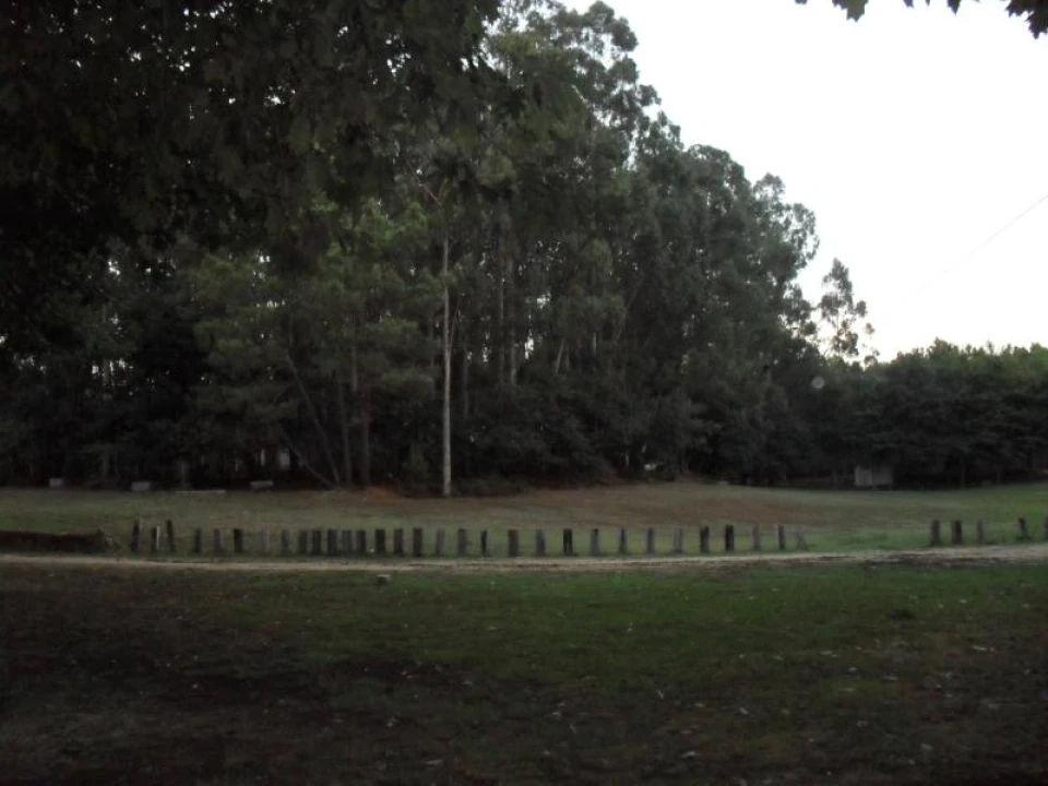 Terreno para Venda em Rates Foto 3