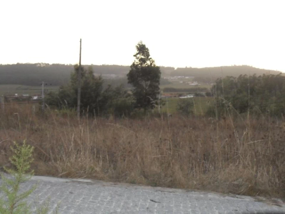 Terreno para Venda em Rates Foto 4