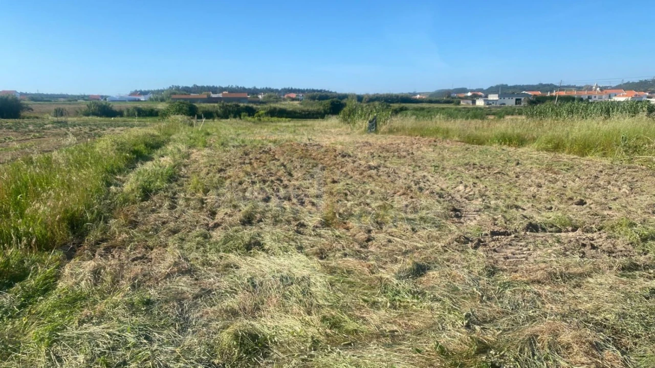 Terreno para Venda em Atouguia da Baleia Foto 2