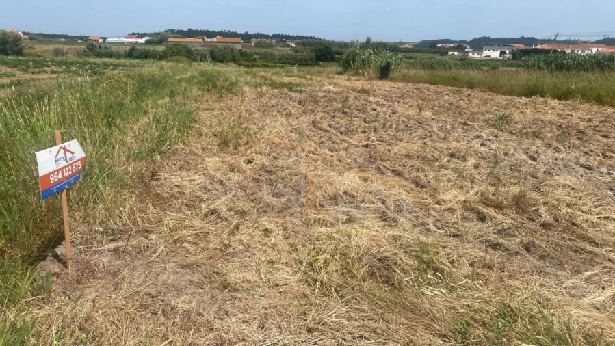 Terreno para Venda em Atouguia da Baleia Foto 3