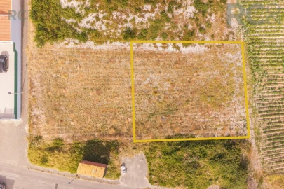 Terreno para Venda em Silveira