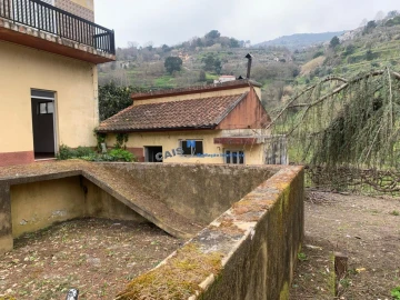 Quinta T3 para Venda em Mesão Frio (Santo André)