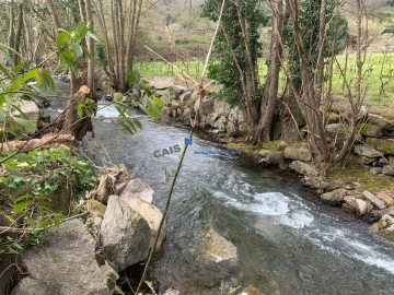 Quinta T3 para Venda em Mesão Frio (Santo André)