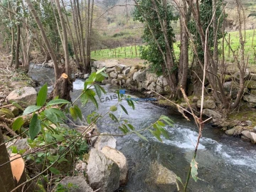 Quinta T3 para Venda em Mesão Frio (Santo André)