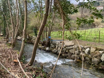Quinta T3 para Venda em Loivos da Ribeira e Tresouras