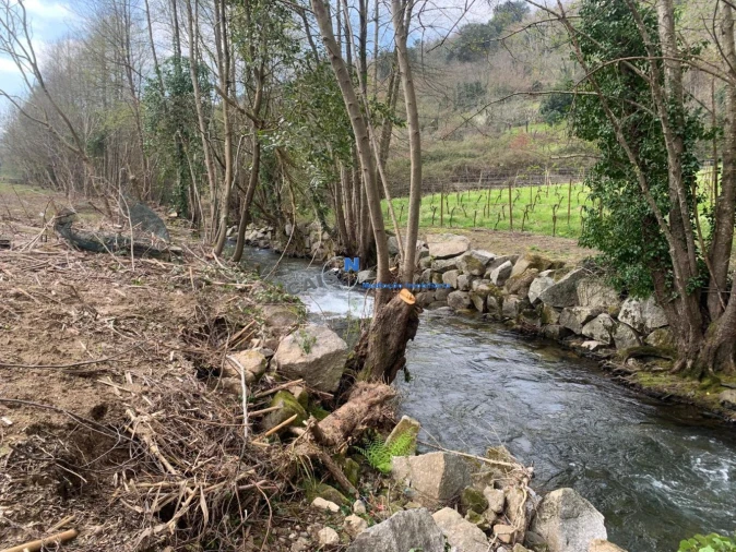 Quinta T3 para Venda em Loivos da Ribeira e Tresouras Foto 37