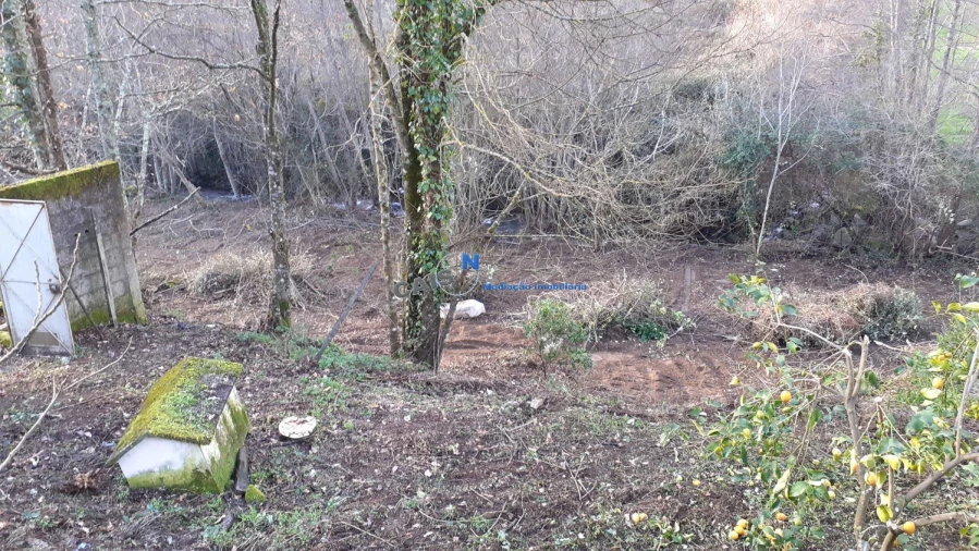 Quinta T3 para Venda em Loivos da Ribeira e Tresouras Foto 39