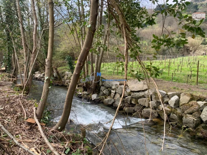 Quinta T3 para Venda em Loivos da Ribeira e Tresouras Foto 36
