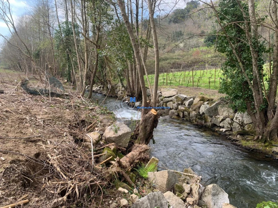 Quinta T3 para Venda em Loivos da Ribeira e Tresouras Foto 37