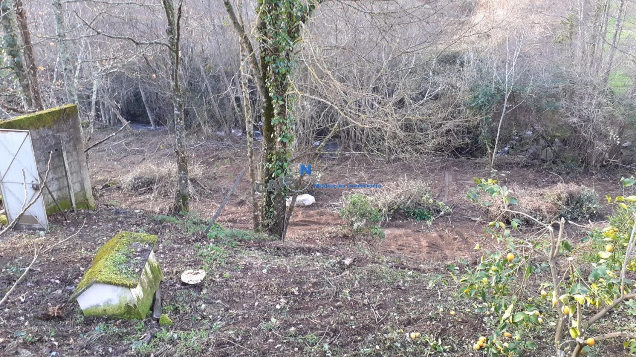 Quinta T3 para Venda em Loivos da Ribeira e Tresouras Foto 39