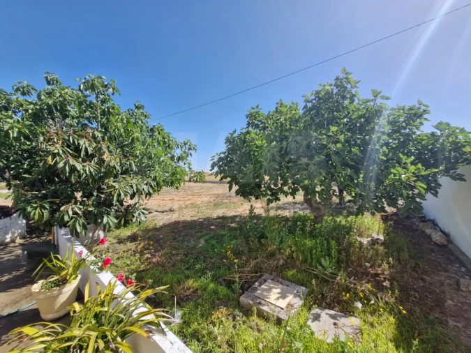 Moradia T2 para Venda em Salvaterra de Magos e Foros de Salvaterra Foto 11