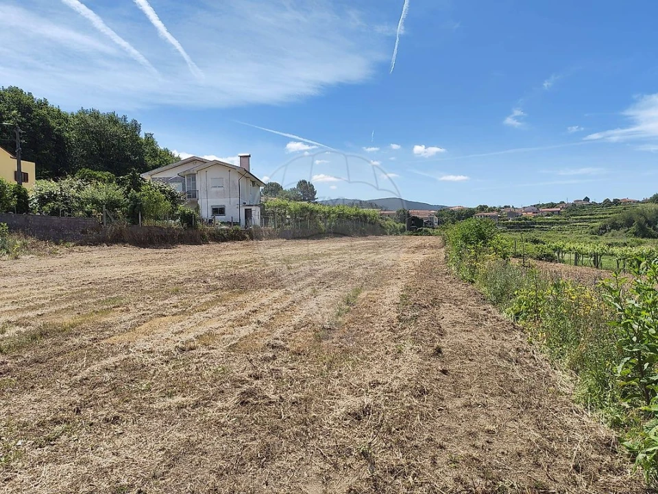 Terreno para Venda em Macieira de Cambra Foto 1