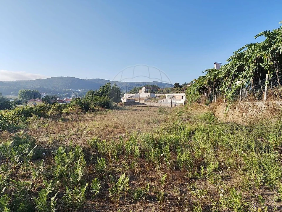 Terreno para Venda em Macieira de Cambra Foto 13