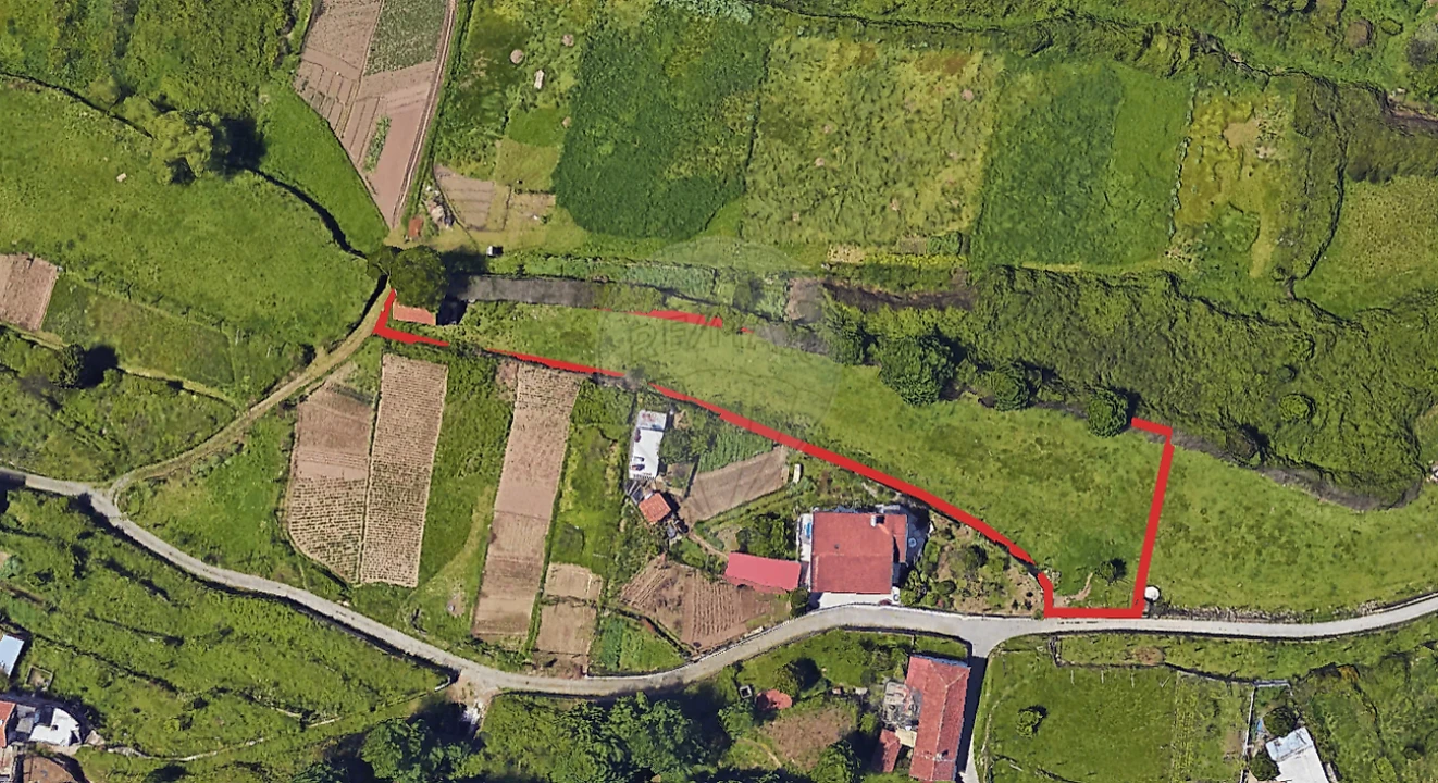 Terreno para Venda em Macieira de Cambra Foto 14