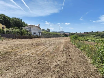Terreno para Venda em Macieira de Cambra