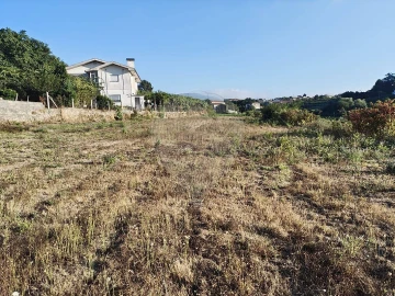 Terreno para Venda em Macieira de Cambra