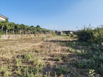 Terreno para Venda em Macieira de Cambra