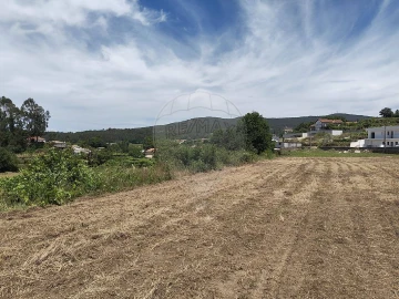 Terreno para Venda em Macieira de Cambra