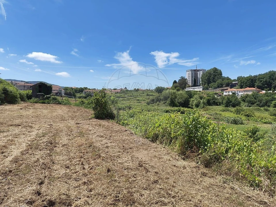 Terreno para Venda em Macieira de Cambra Foto 4