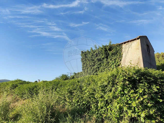 Terreno para Venda em Macieira de Cambra Foto 12