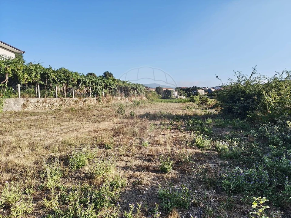 Terreno para Venda em Macieira de Cambra Foto 4