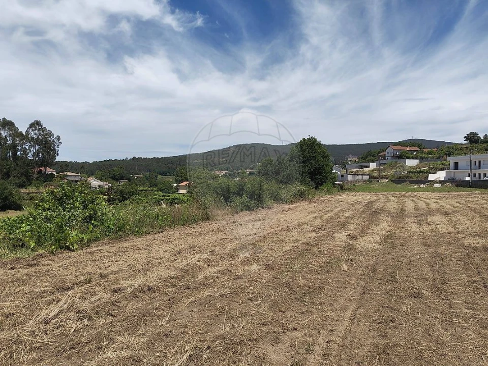 Terreno para Venda em Macieira de Cambra Foto 6
