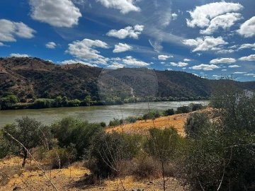 Terreno para Venda em Santana de Cambas