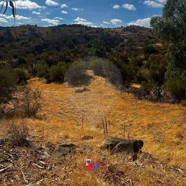 Terreno para Venda em Santana de Cambas
