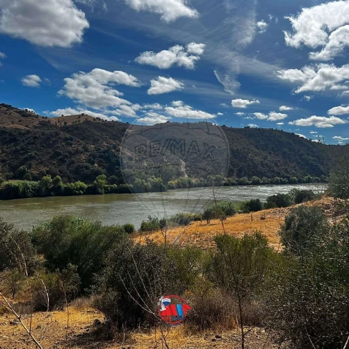 Terreno para Venda em Santana de Cambas Foto 6