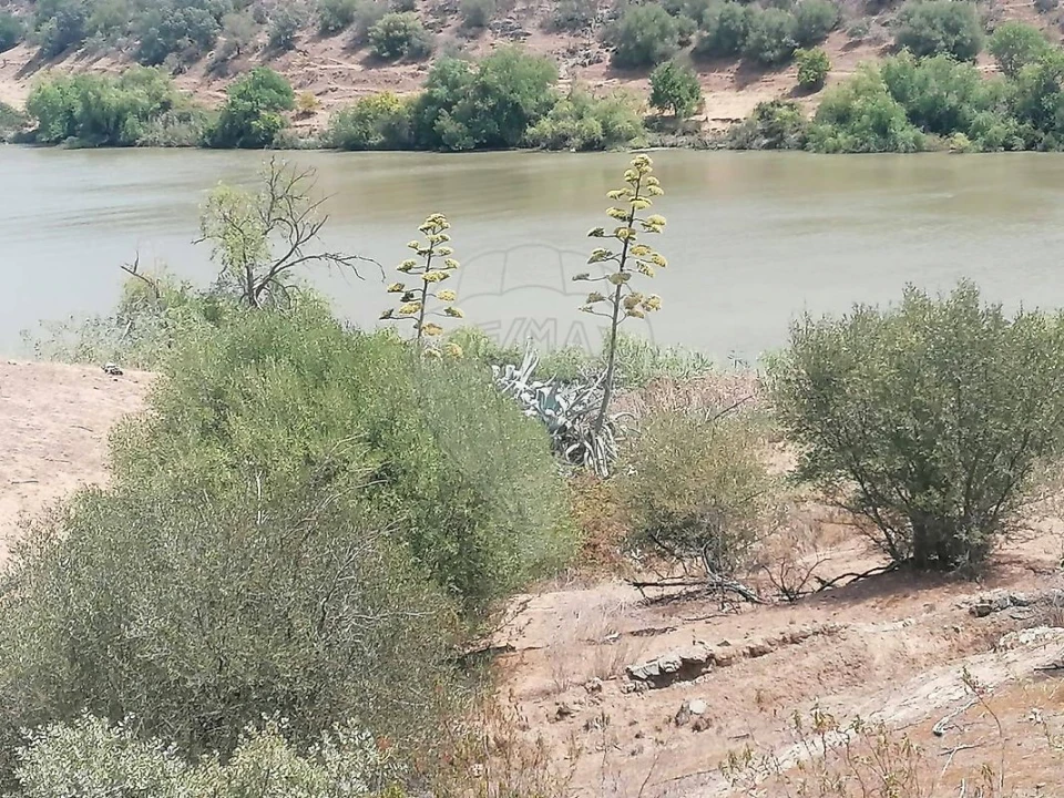 Terreno para Venda em Santana de Cambas Foto 33