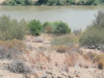 Terreno para Venda em Santana de Cambas