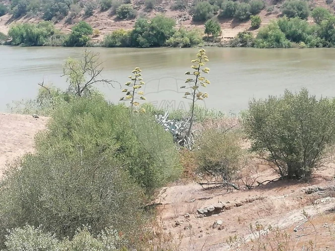 Terreno para Venda em Santana de Cambas Foto 24