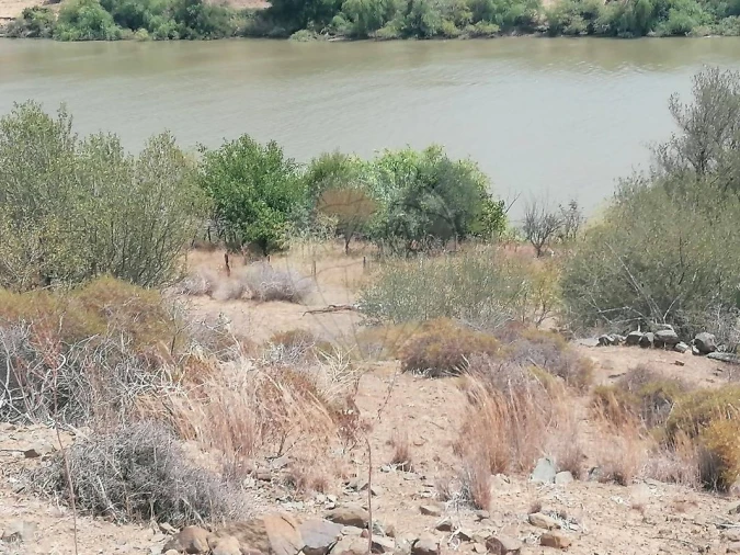 Terreno para Venda em Santana de Cambas Foto 29