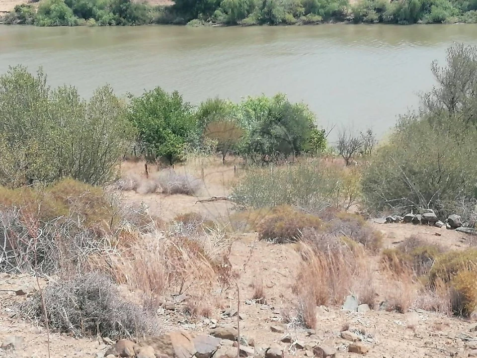 Terreno para Venda em Santana de Cambas Foto 29