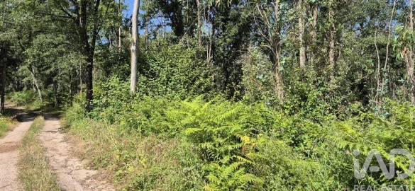 Terreno para Venda em Alqueidão da Serra