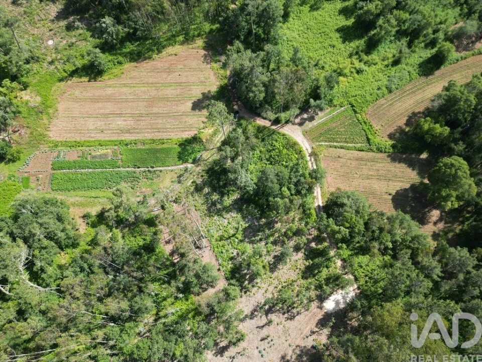 Terreno para Venda em Alqueidão da Serra Foto 3