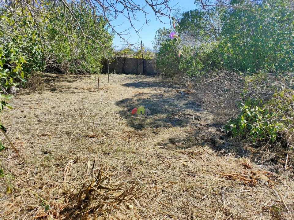 Terreno para Venda em Barcarena Foto 2