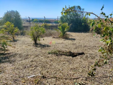 Terreno para Venda em Barcarena